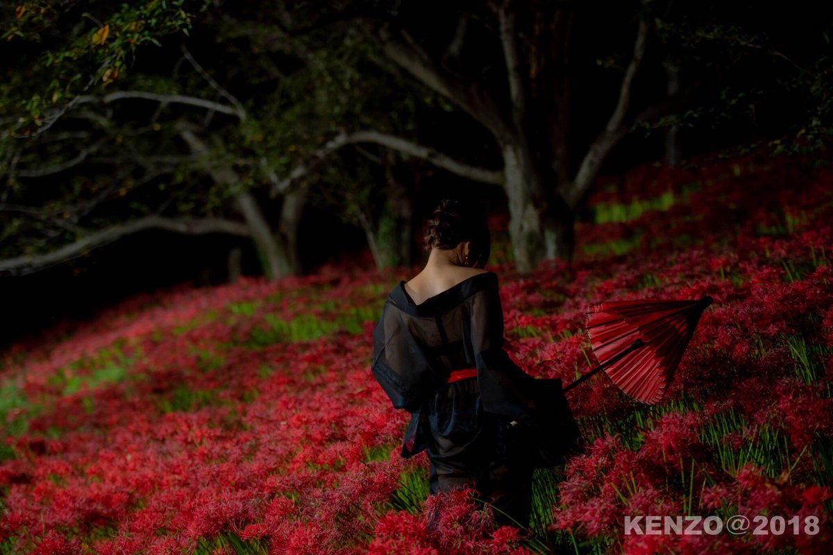 ブンキ Bun 7月の撮影会予約受付中 Sur Twitter 彼岸の案内人 Photographer Kenzo Pix 撮影 Soothing 被写体 モデル モデル募集 被写体募集 ポートレート 作品撮り 彼岸花撮影