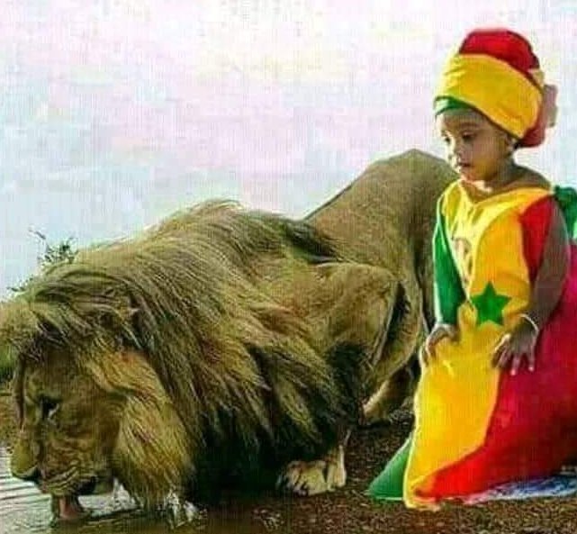 Maya Diouf (@mounasndiaye) on Twitter photo 