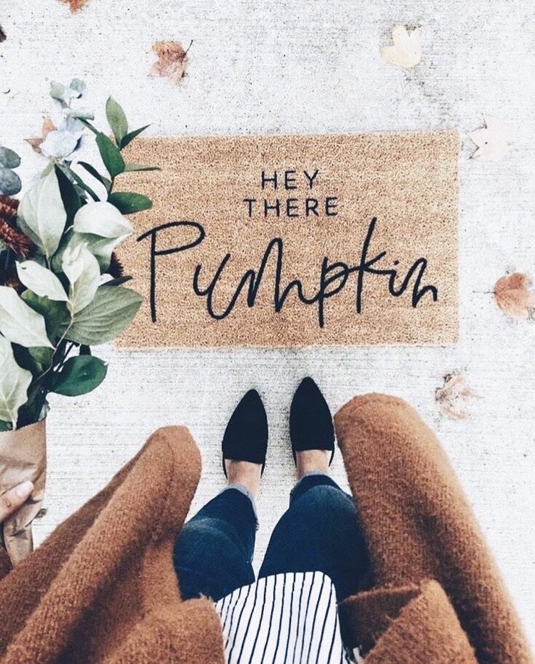 CocoPure5's tweet photo. Oh fall has come! Happy fall first-day coco fam. Fresh air can sometimes mean dry skin. Stay hydrated! xoxo 🌴 #cocopure https://t.co/8Q7qytS4U3