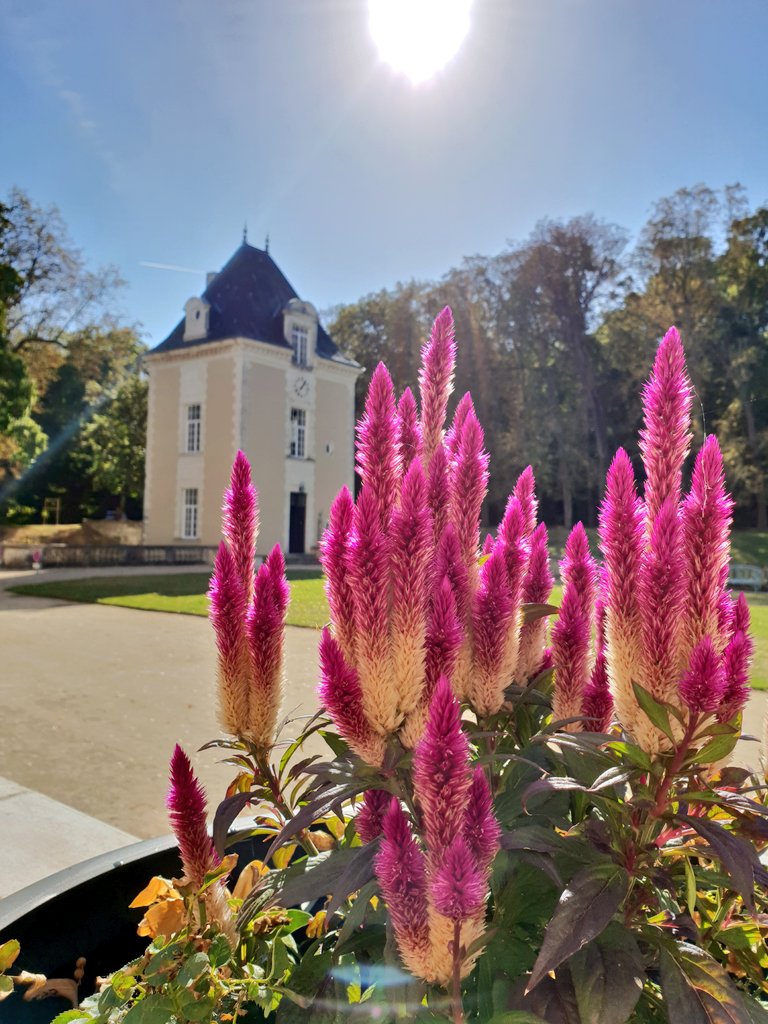 AlexOuthwaite's tweet photo. Enjoying the sunshine and a game of boules at @ChateauJalesnes #france #loire https://t.co/4JA8iAXTw3