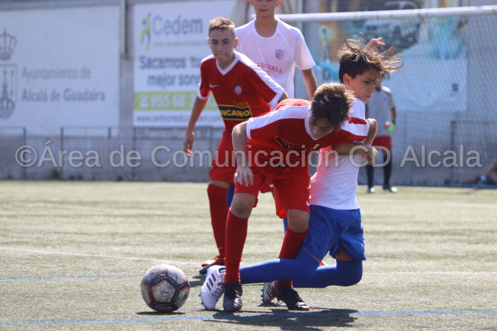 C.D. Alcalá tweet media