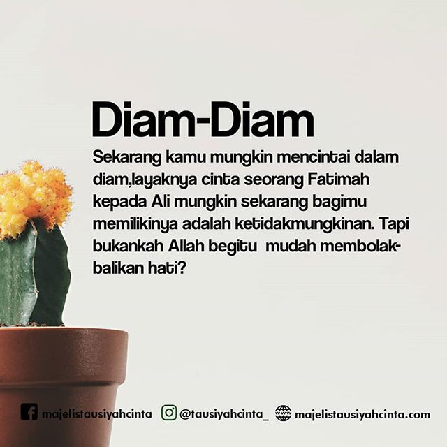 TausiyahCinta_'s tweet photo. Allah maha membolak balikan hati
.
.
Follow @cintakucing_id
Follow @cintakucing_id

#cintakucing
📸 : unsplash
📝 : islamidia https://t.co/HxIyCh055o https://t.co/ZoZ7OFKG4Y https://t.co/FTax1Bzsdx