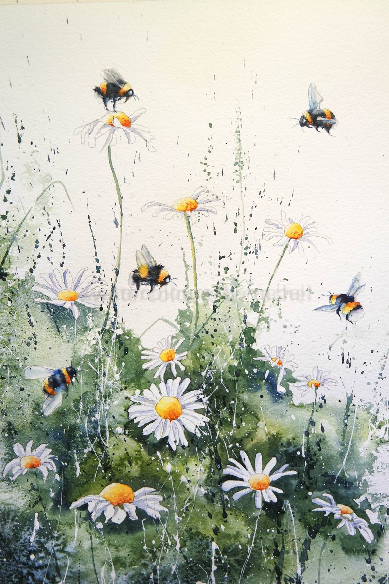 watercoloursbyrachel.co.uk/collections/or…
New work appearing on my website click on the link to have a look
#watercolour #bumblebees #wildflowers #paintdaily #daisies #bees #wildlifeart #wildlifeartist #devon #originalart #paint #landscape