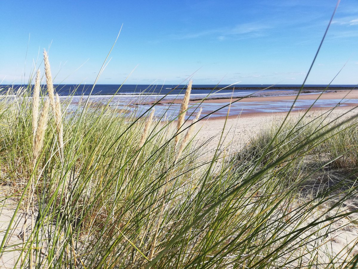 Beautiful at Cresswell today - walk on the beach &amp; bacon baps <a href="/CafeDrift/">The Drift Cafe</a> yum! Happy days😀