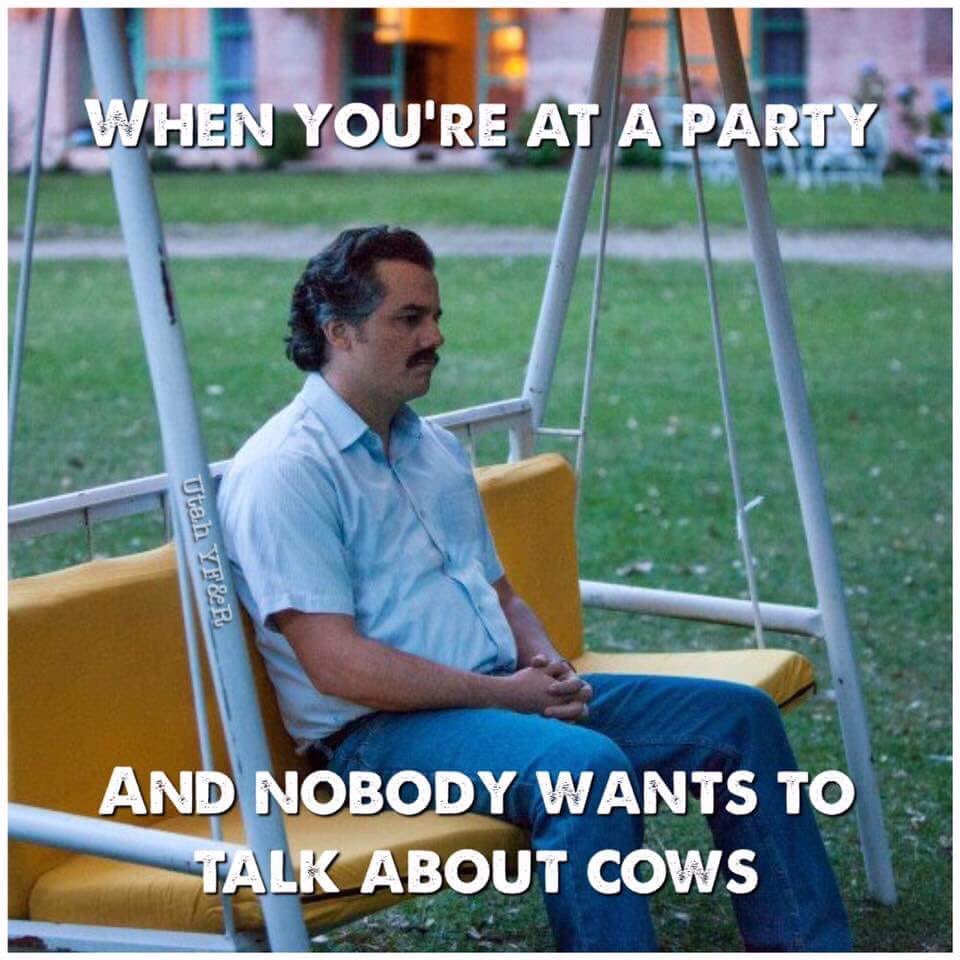 lets not act like this hasnt been all of us at one point 🙄