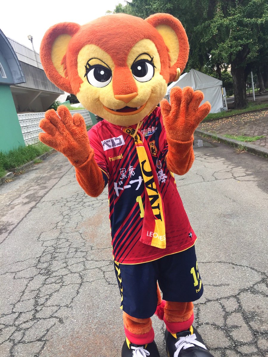 パールかん Twitter પર らいむちゃん ﾉ 試合後 スタジアムの外でハイタッチ Inac神戸レオネッサ らいむちゃん