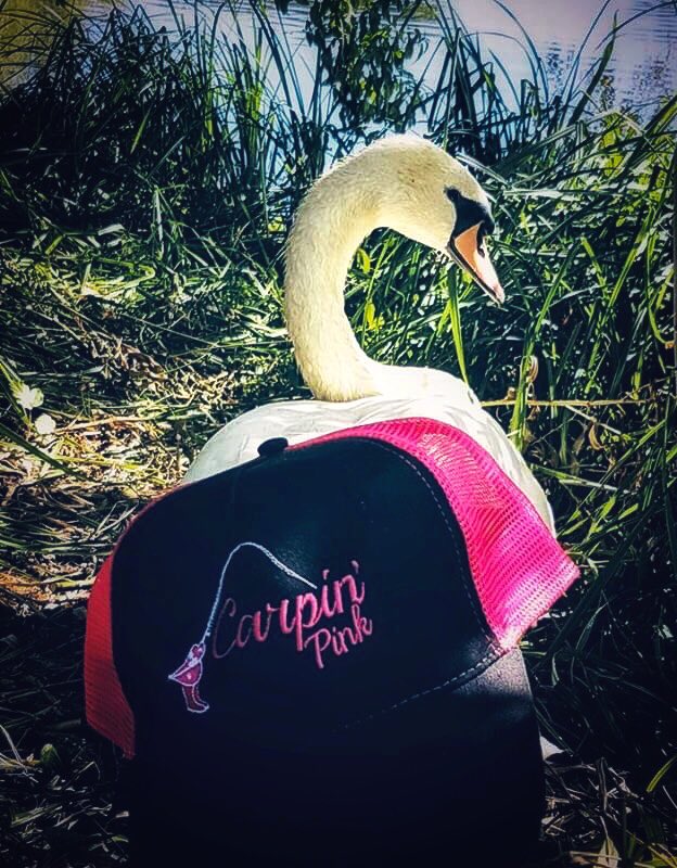 Carpinpink's tweet image. You too can be a beautiful swan with Carpin’Pink 😉😉💖💖💖🦆🦆🎣🎣🎣
.
.
#SaturdayMotivation #ALLFUN #Angling #autumnfishing #BankLife #CarpAngling #carpinpink #fishergirl #fishingfun #girlsthatfish #InPursuitOfChunks #outdoors #wellcarpy #Carpy