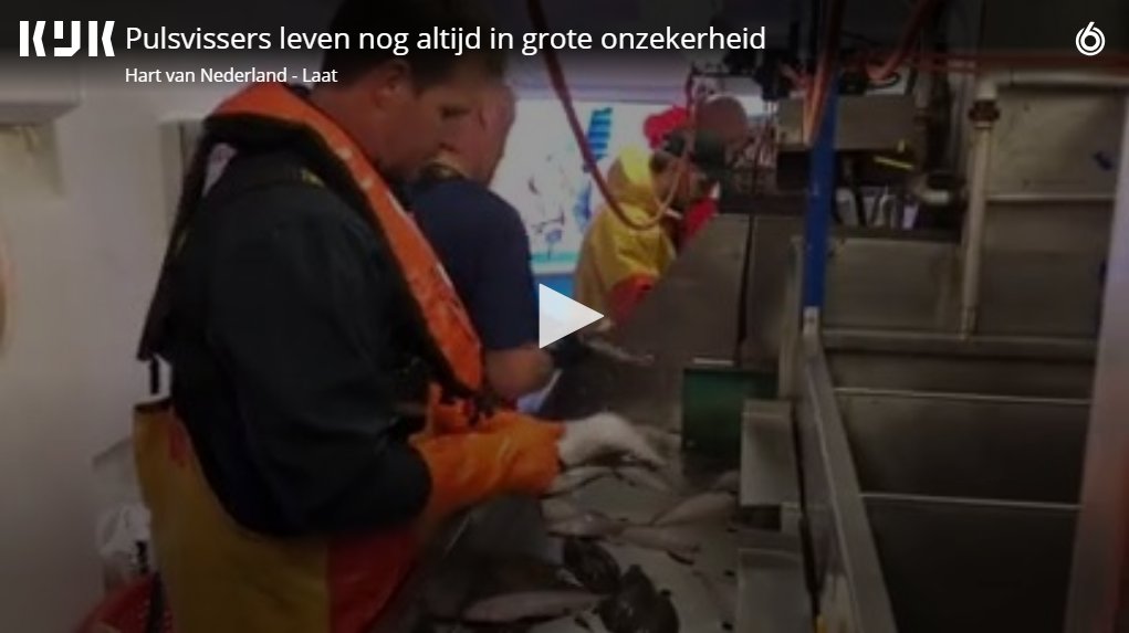 Vissersbond's tweet photo. Ook @hartvannl stapte gister aan boord van de #OD17 waar ze meerdere #pulsvissers interviewden. Vanavond op de televisie, hier alvast een voorproefje: https://t.co/G5AgOj4E8O #pulsvisserij @FrankHVNL https://t.co/CeGp64ES3h