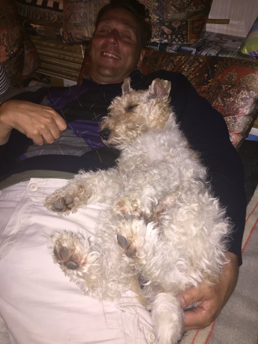ThomasStraumits's tweet image. Hard to beat a 4 paws up snooze with dad. @FTWallace1 @Rumplepimple @ospreyceren27 @oscarfoxterrier @WireFoxTerriers ⁦@SallyFoxT⁩