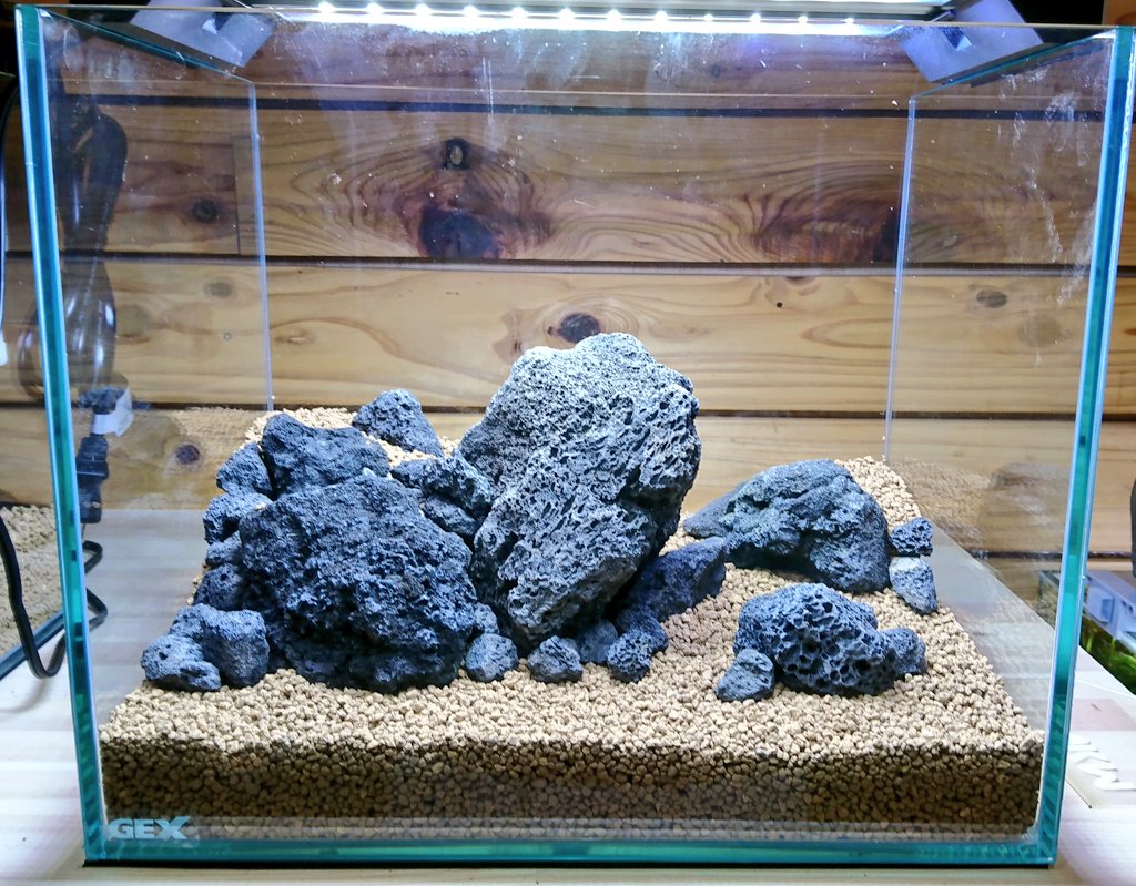 Masuokafarm 本日2個目のレイアウト立ち上げました グラステリア300 13 At ろ材は黒軽石 赤玉ソイル ノーマル 固形栄養素 当店の黒溶岩石のみで石組をしてみました サイズが幅広くあるので こんな小さい水槽でもそれなりに形にすることができ Masuokafarm 本日2個目のレイアウト立ち上げました グラステリア300 13 At ろ材は黒軽石 赤玉ソイル ノーマル 固形栄養素 当店の黒溶岩石のみで石組をしてみました サイズが幅広くあるので こんな小さい水槽でもそれなりに形にすることができ