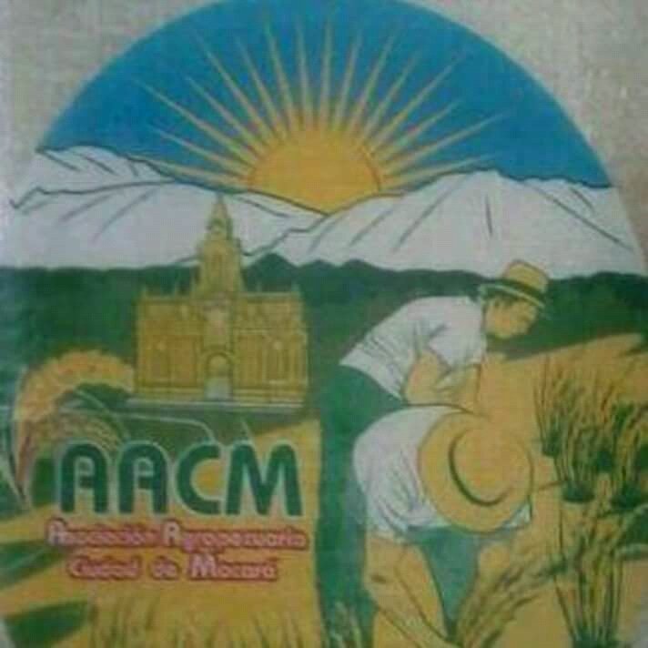 <a href="/AgroMacara/">Asociación Agropecuaria Ciudad de Macará</a> <a href="/HaydeePaladines/">Haydee Paladines</a> Arroz macareño "El Sol" netamente propio de nuestro cantón, pruebalo y verás cuan rendidor, sabroso y calidad tiene nuestro arroz.