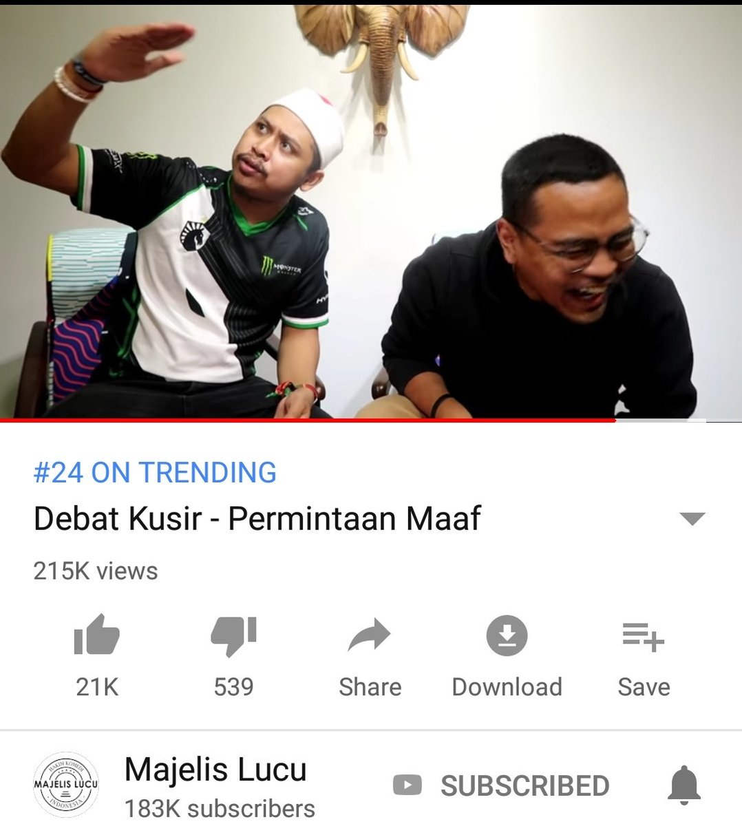 24 Caption Lucu Tentang Jeruk Galeri Herp