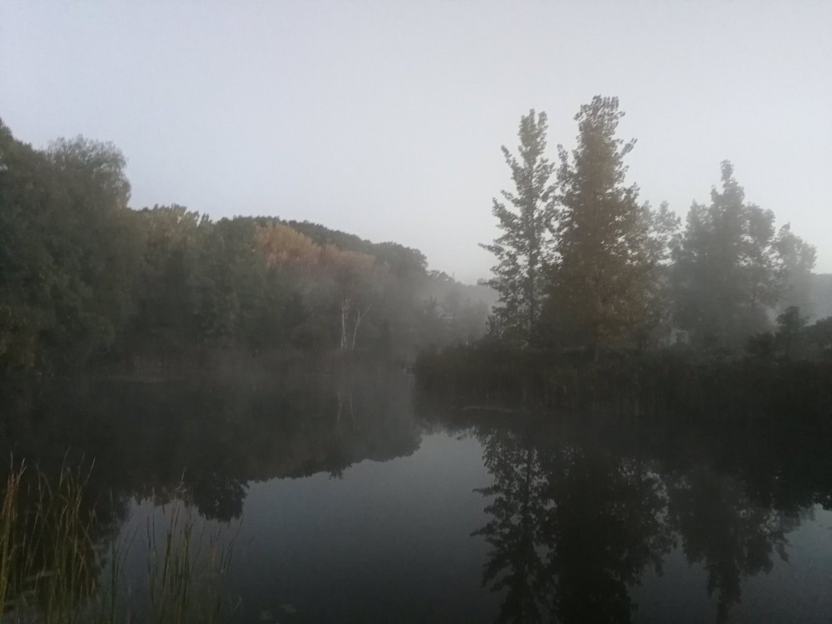 Ecotone Software tweet media