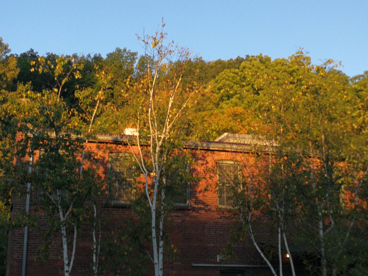 Beautiful morning <a href="/BrickWorksMkt/">BrickWorksMarket </a> @EGBrickWorks Come on down.