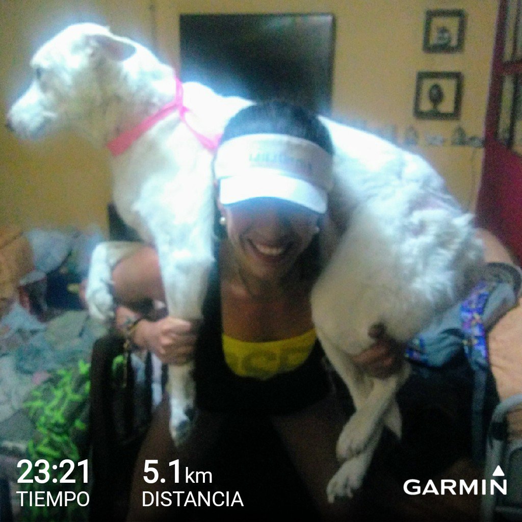 gemmav5's tweet photo. Espero que esto no sea considerado como "crueldad animal" ,olvide mi cuerda para saltar (caliento con 200 #singleUnders) ,antes de5km .
MIYUKI 😍🐕🐾 pesa 35,5kg ( es una perrita muy grande
😲) y bueno se prestó para un buen calentamiento previo #squat
#yoelegicorrer 
#sabadoFit https://t.co/cPlQL9Uw9Z