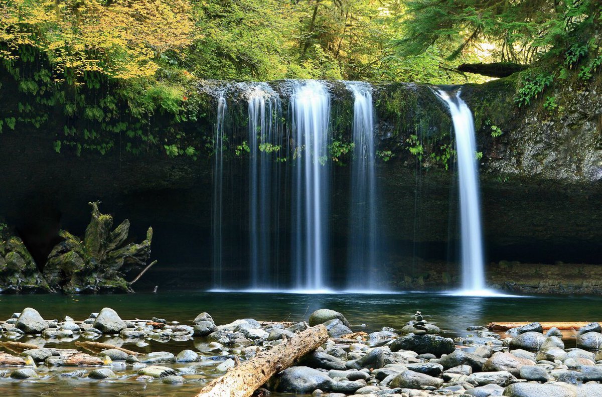 To walk in nature is to experience a thousand miracles. 

~Mary Davis