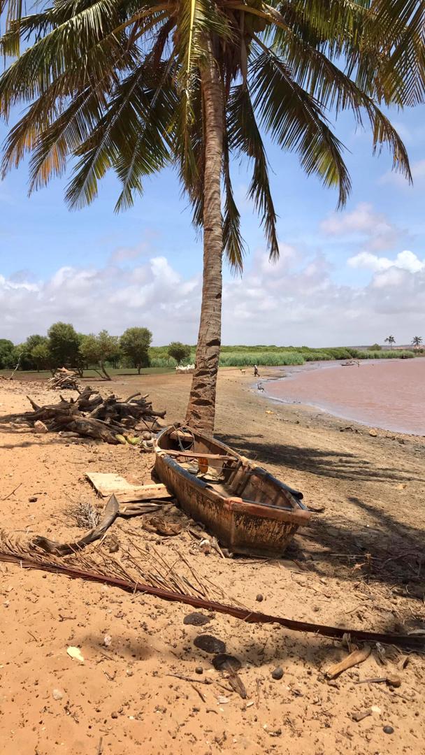 Fatumaabdulahi's tweet photo. #Goobweyn, most charming village I have been to in #Somalia to date! This is where the River Jubba, that starts from the #Ethiopia border, meets the Indian Ocean. Pictures taken by Farhia. #Kismayo #Somalia https://t.co/38kRGJMFKo