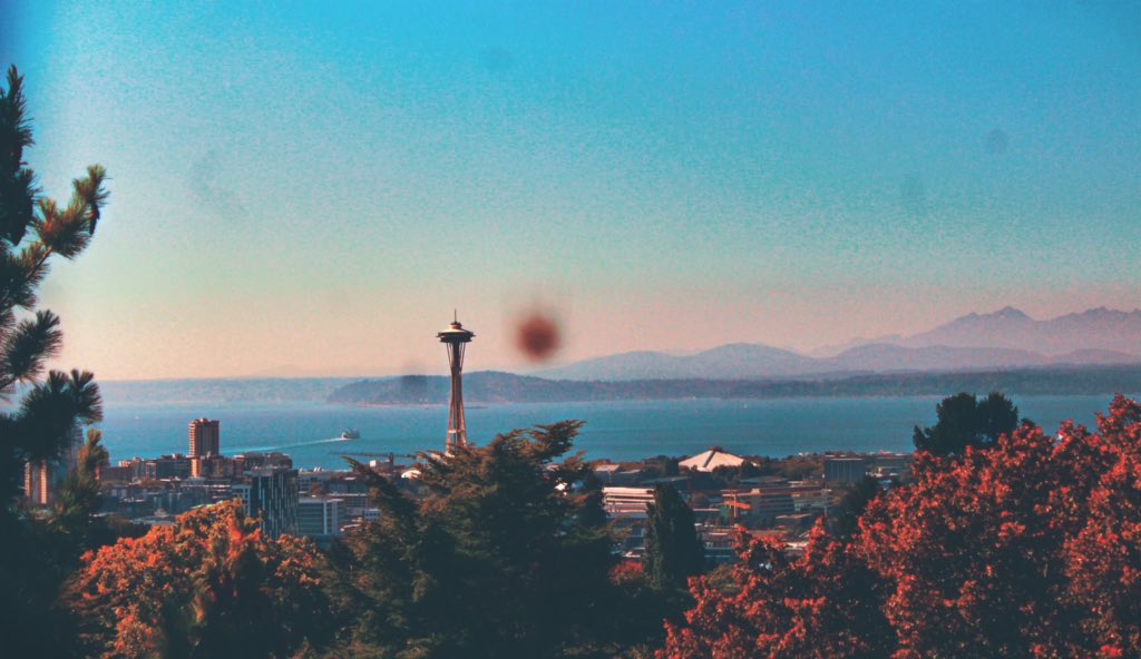 kcs____X's tweet image. 