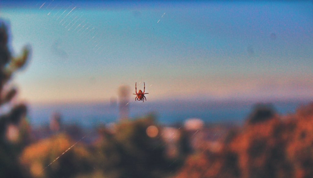 kcs____X's tweet image. 