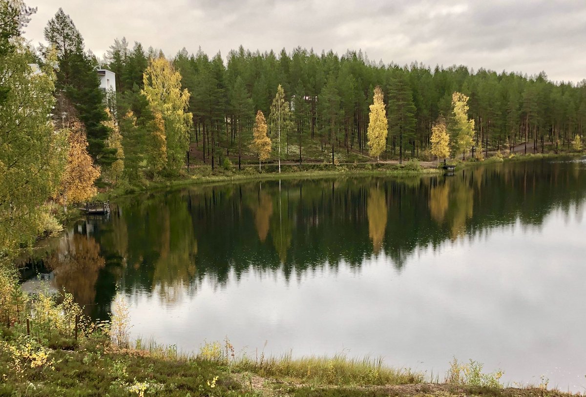 Rokuahealthspa's tweet photo. Syysvaelluspäivä vuoden Retkikohdealueella. #rokua #visitrokua #rokuageopark #vuodenretkikohde2018 #visitoulu #syksy #retkipaikka #ruska https://t.co/88cuBndyl7