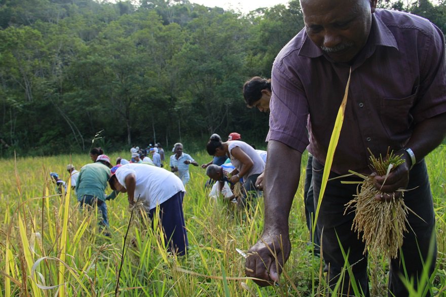 CongressoPC's tweet photo. O Sistema Agrícola Tradicional do Vale do Ribeira (SP) agora é Patrimônio Cultural do Brasil! 🎉👏😁
➡️Conheça: https://t.co/dGdcgbGlg9
#SistemaAgrícolaTradicional #ComunidadesQuilombolas #ValedoRibeira
#PatrimônioCultural #UFOP #IPHAN #CMDPC https://t.co/EgXNHJ7ii2