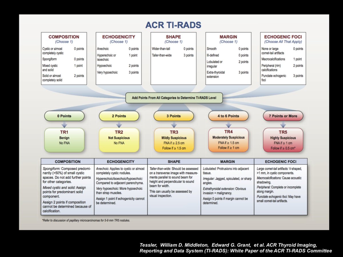 Ti Rads Chart