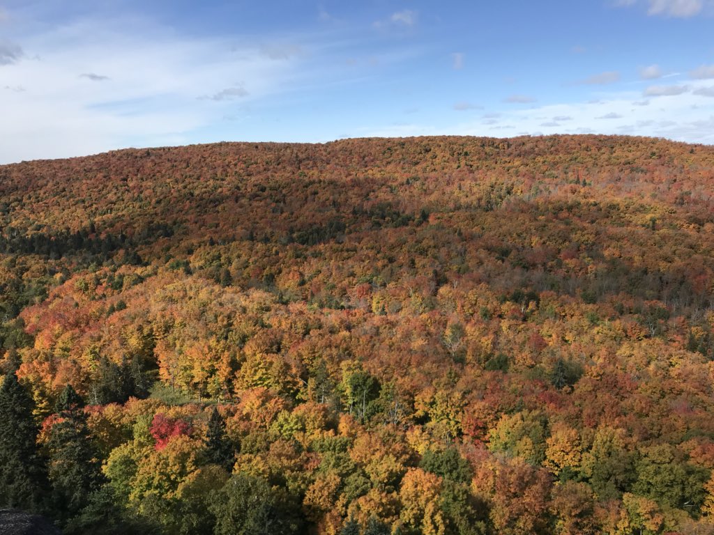 ChrisParno's tweet image. The North Shore of Minnesota is Signaling Fall!!! #Lutsen