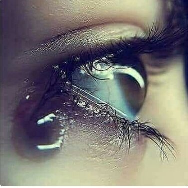 (@Abid1132) / Twitter (@Abid1132) / Twitter