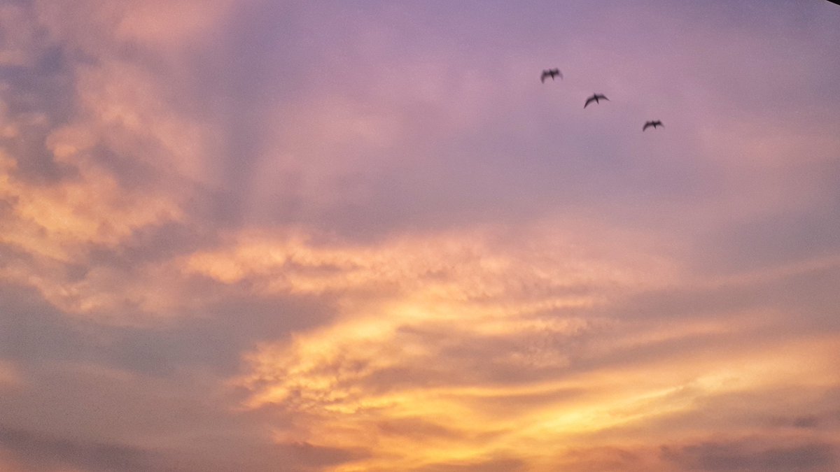 oraice_ssk9's tweet photo. กว่าจะผ่านไปแต่ละวัน #gallery #shot #lovemoment #mycapturebook #sun #landscape #travel #thailand #sky #photo #naturaleza #nature #naturerepublic #storytellingphotography #naturephotography #takeaphoto #tomaunafoto #i912 #igdaily #icetravel https://t.co/CVS7Mv4ck2