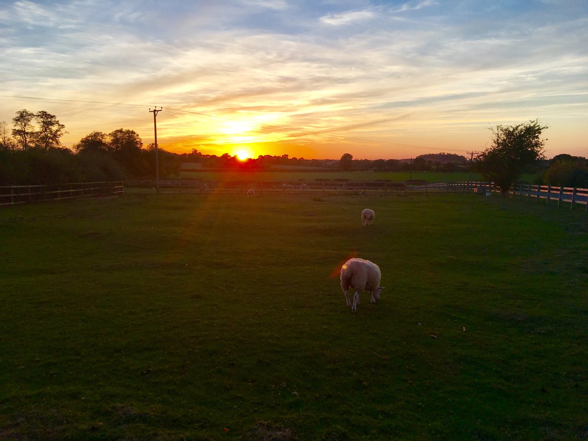 HarburyFields's tweet photo. Anddd relax.... https://t.co/FR2pa0QFOL