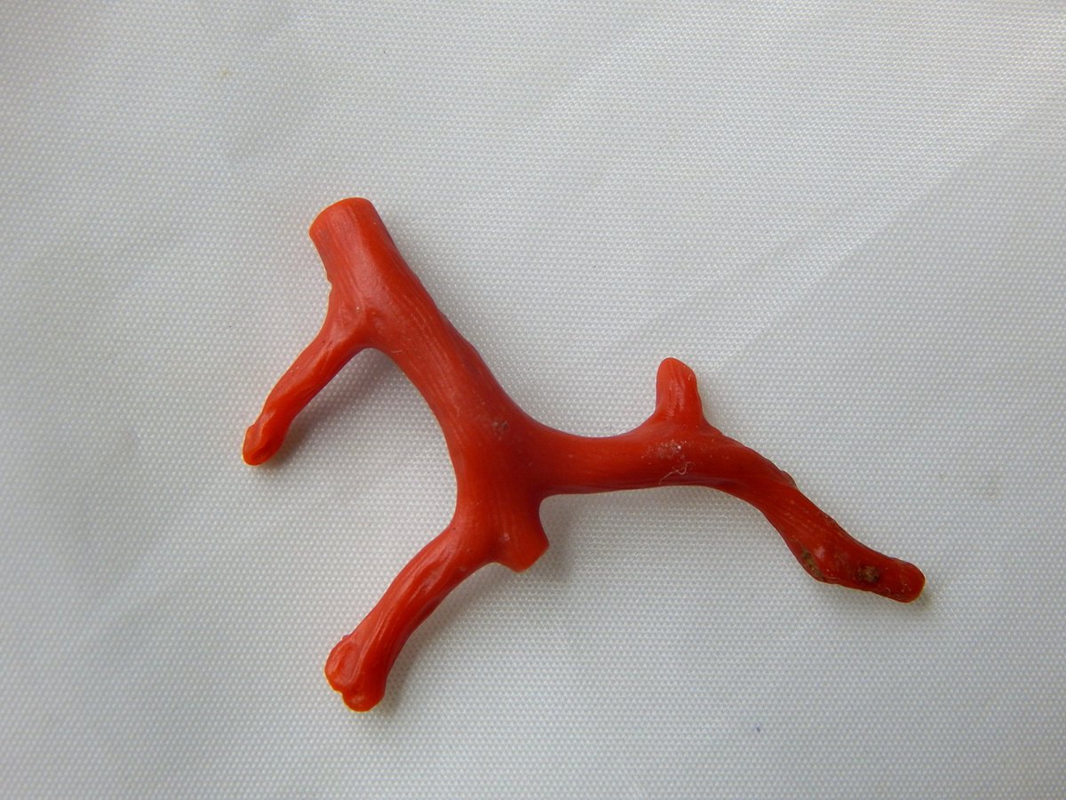 msgemshub's tweet image. 70%OFF Italian Coral Branch 100 Persent Natural Gemstone