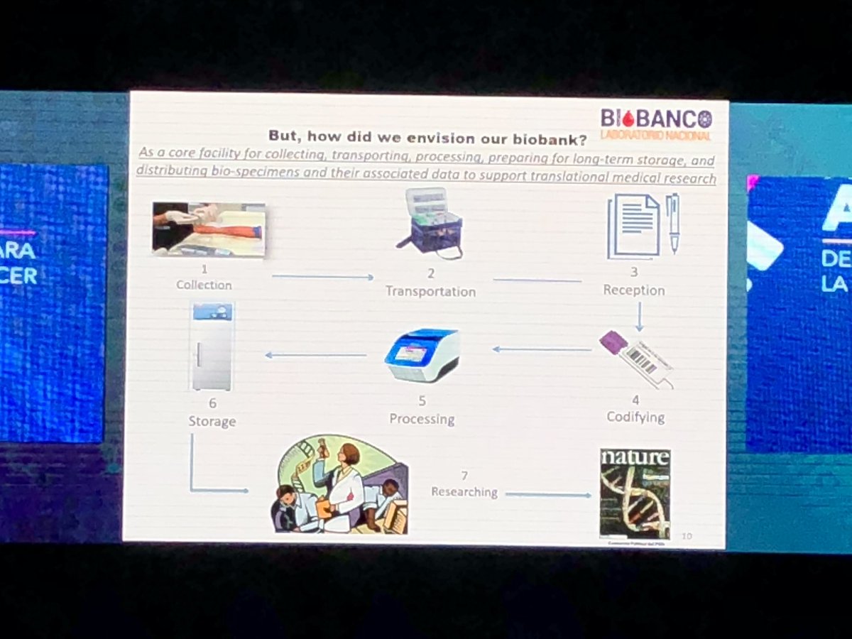 qbro76's tweet photo. La importancia del manejo de muestras para los Biobancos. Lo bien hecho también está hecho en México!!!
Un Biobanco es un pilar para el avance de la ciencia.
Dr. Hugo Barrera Saldaña
@cmic_mex #InvestigacionYCancer #CienciaConImpacto https://t.co/rDgsVvEDpN