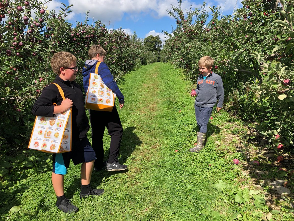 jasongarnar's tweet photo. Prime time for 🍎 🍏 picking. Stopped by Apple Hills for this weekend’s Broome County Farm Trail. #goalloutbroome #farmtrail #broomecounty #applehills https://t.co/8gaLB8HXaS