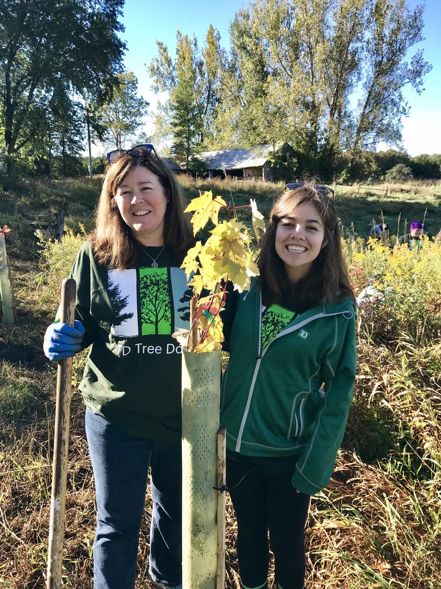 Beautiful Fall Day to plant 500 trees. Thanks to all the volunteers that helped to plant in the Minesing Wetlands.  #TDTreeDays #thereadycommitment <a href="/ryanvuyk_TD/">Ryan Vuyk</a>