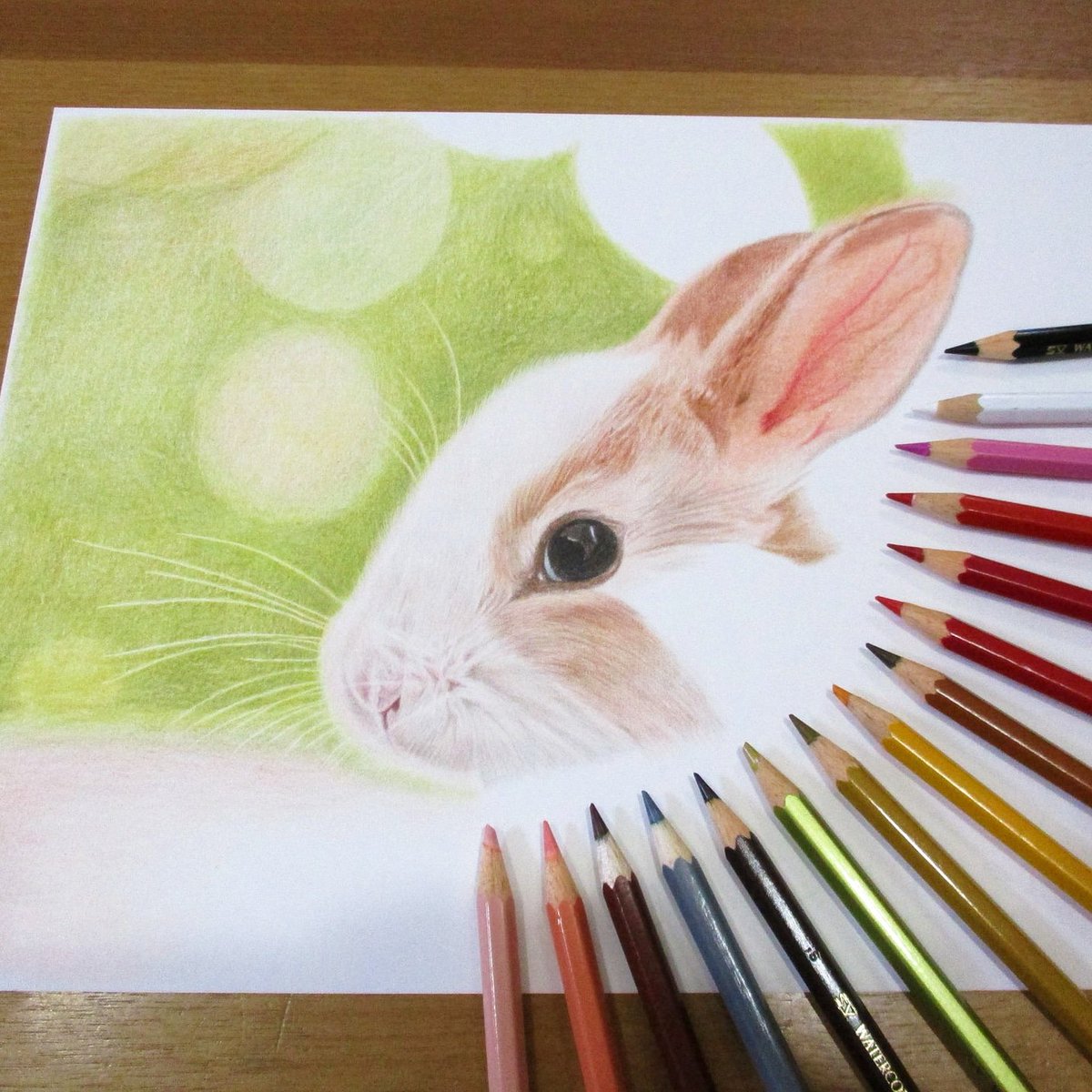 匿名 浸漬 猟犬 かわいい 色鉛筆 画 Decoc Jp