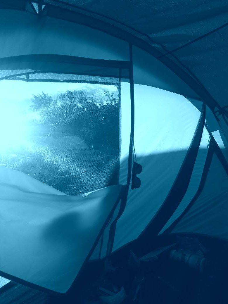 ChopsShow's tweet image. Get Hype 🇺🇸