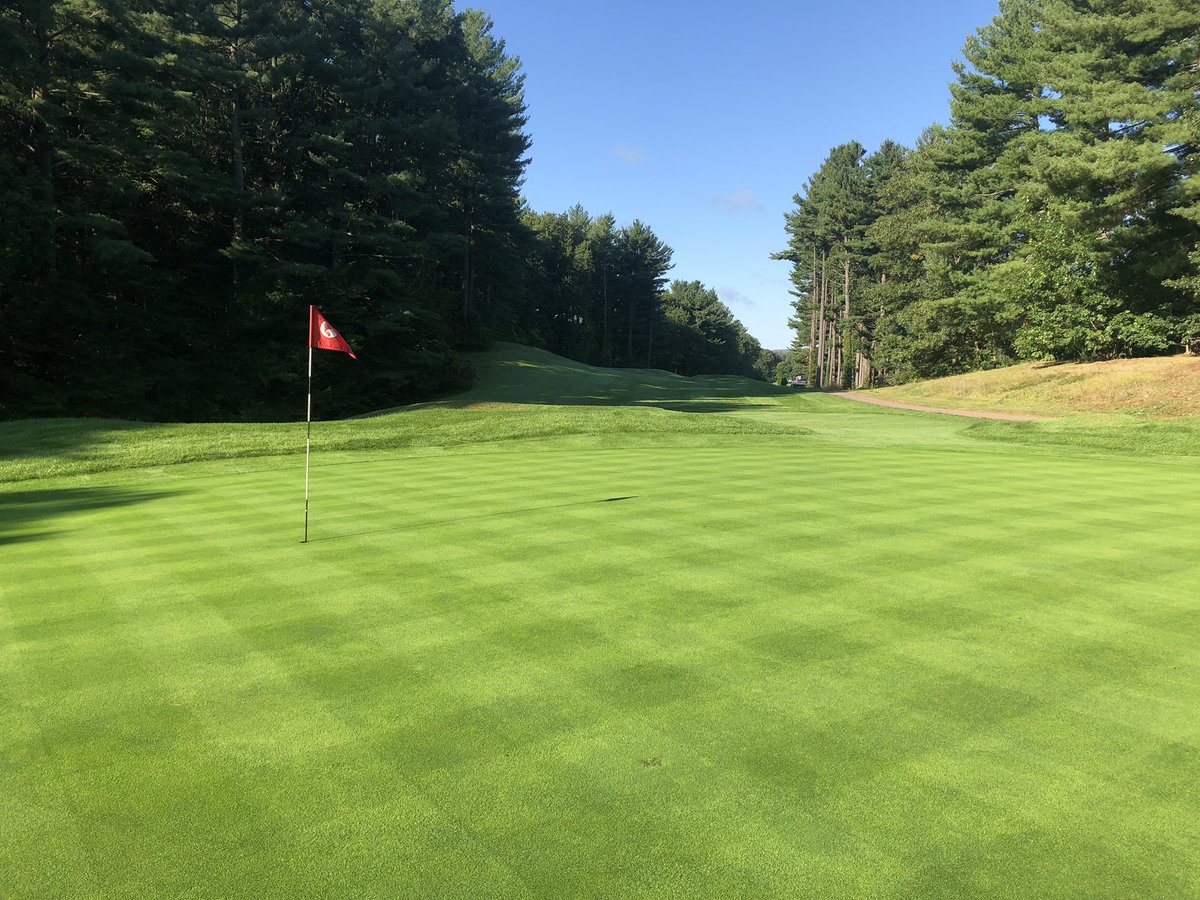 Sisson31's tweet photo. Picture perfect morning! 

First time cutting this green since Monday, raised HOC to .200” little double cut action, lots of clippings! Came out nice! 

•16 green at HLCC
@CAGCS1929 @JacobsenTurf #eclipse2 #walkmow https://t.co/XgiIvZuB14