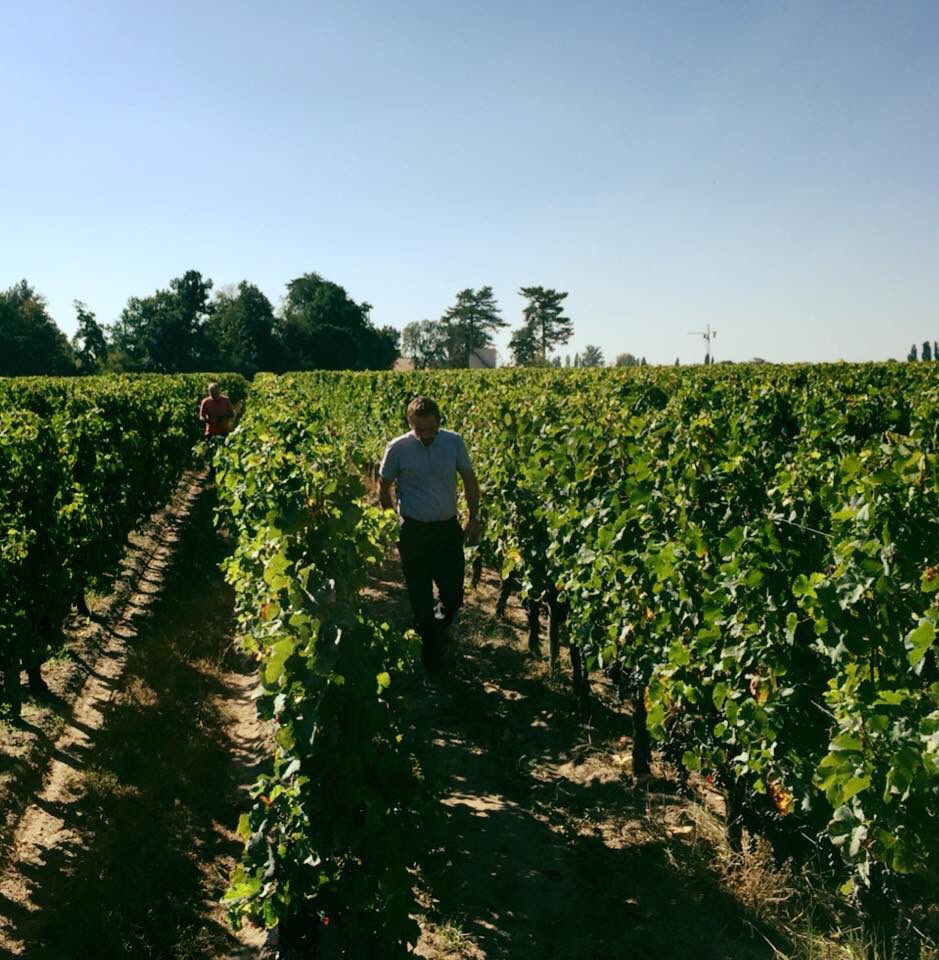 Nicolas GREGOIRE, Cyrille GREGOIRE, Julien SALLES au château RIPEAU. Nouvelle dégustation des baies 🍇 avec notre œnologue consultant Claude GROS. Patience, patience ☀️☀️☀️