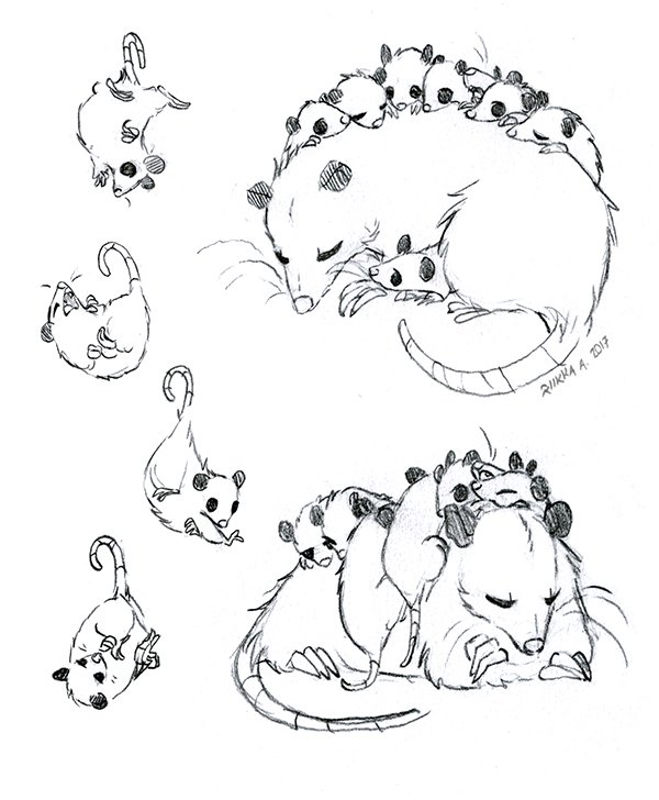 Little animal sketches I posted in my Patreon last year. ✏️? 