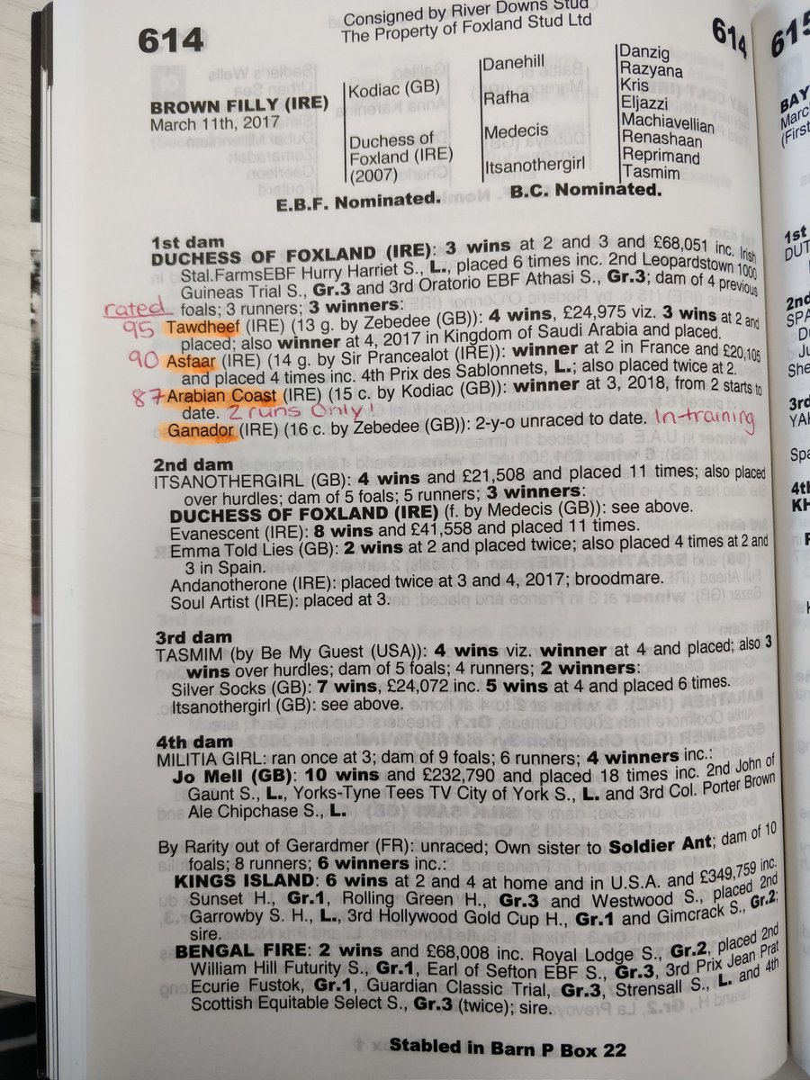 PhilippaProctor's tweet photo. Jash adds to Kodiac's brilliant day! Come on down to @Goffs1866 next week and knock on the door of this girl. You'll fall in love! #Foxland #RiverDowns https://t.co/1qJ3XbPHxD