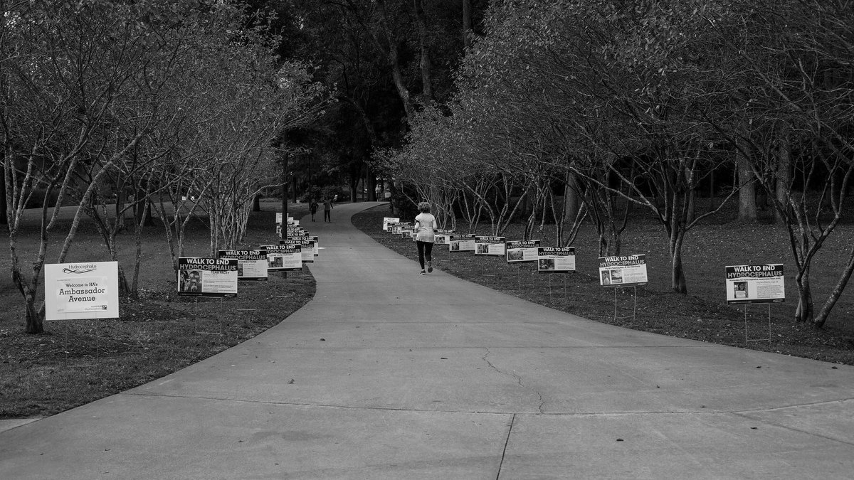 HAWALK_CLT's tweet photo. 2017 Ambassador Avenue. Making an Impact showing all the Teams/Walkers who were represented on WALK Day. #Hydrocephalus #CLTHAWALK #PowerfulImage https://t.co/yy1bnWYzKV