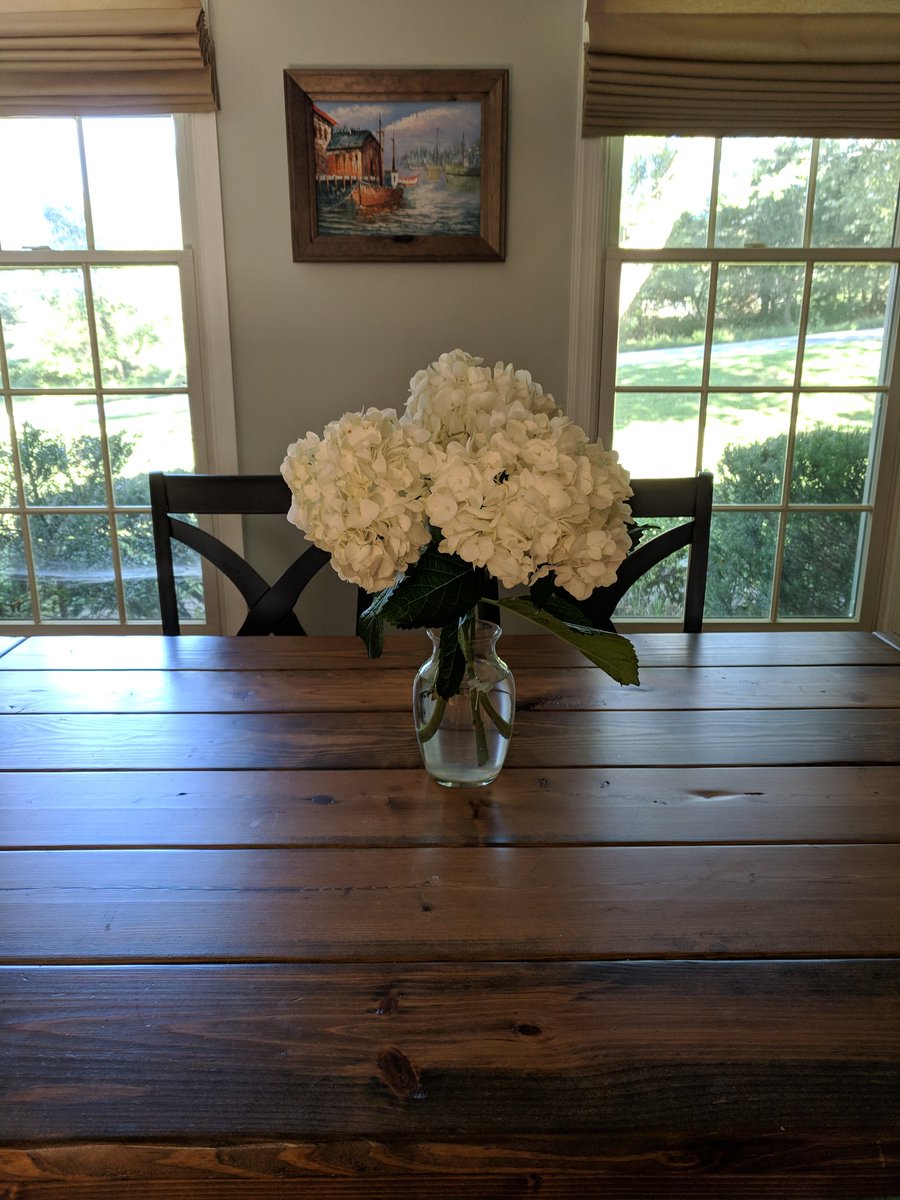 FortGarrisonLibrary tweet media