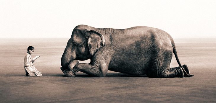 LrTagPlugin's tweet photo. Today's inspiration: Boy reading to elephant by Gregory Colbert https://t.co/5zsAs3x2tw