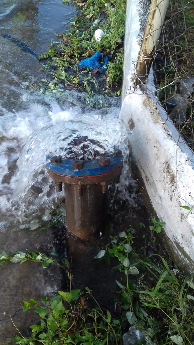 Benjamín Quiles León tweet media