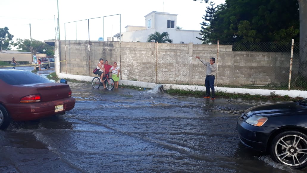 Benjamín Quiles León tweet media