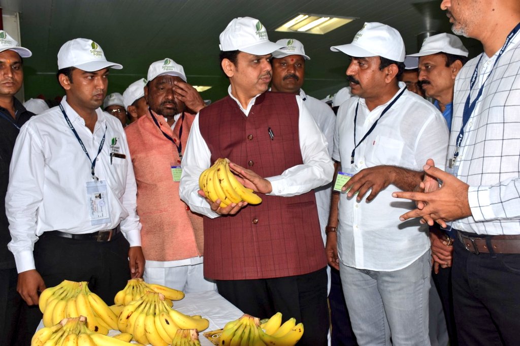VilasShindeSF's tweet photo. Every Indian farmer is like a seed - infinite potential, loaded with guts, has the power to fight and has courage to overcome all barriers.

We believe what we have done at @SahyadriFarms is replicable, scalable and every farmer in India has the potential to do it.

@Dev_Fadnavis https://t.co/3IIvsilu20