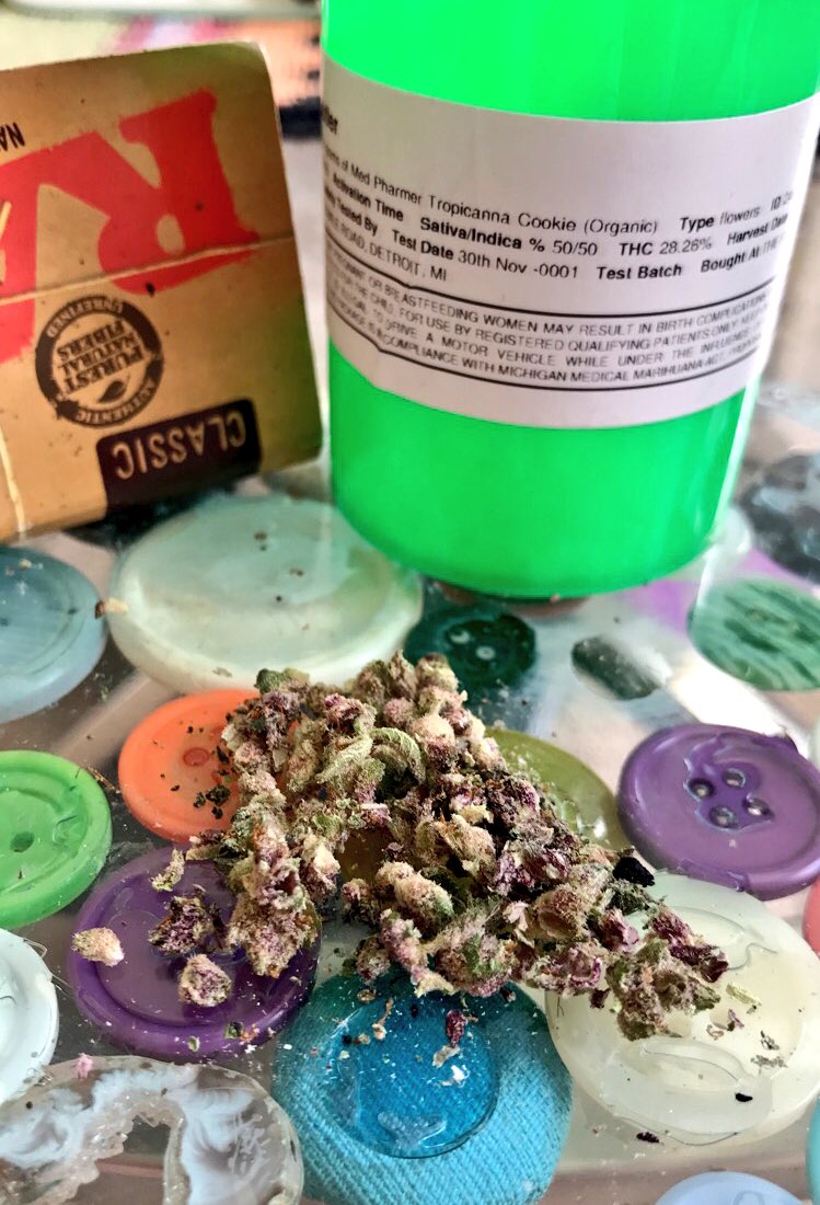 OrangeJ3WS's tweet photo. Good morning 🙃 #wakenbake #michiganmeds #tropicannaCOOKIE #purple #raws https://t.co/zmzz4GaxoB