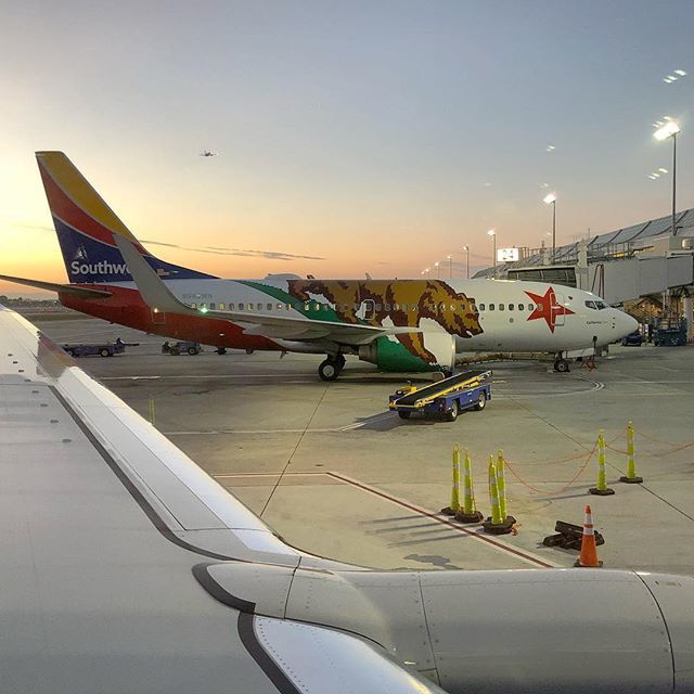 ConesAlone's tweet photo. California proud. Mineta San Jose Airport, San Jose. #Trafficcone #safetycone #livery #southwestairlines https://t.co/Pt5GDYOGDF https://t.co/PCKWYI7xo5