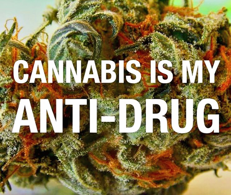 NorCalStoner420's tweet photo. Just Say No to #BigPharma
and Embrace #PlantLife.
Thank You #Cannabis🍃... https://t.co/zGdvuEJxY1