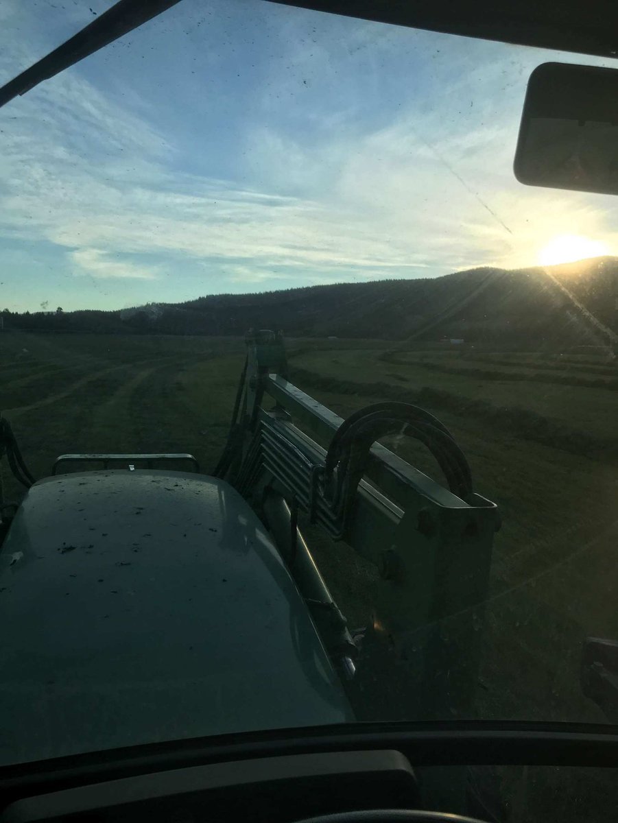 co_jamieson's tweet photo. Working on 3rd cut grass alfalfa. Beautiful fall morning https://t.co/gnkdUHCheV